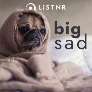 LiSTNR – big sad (HLS)