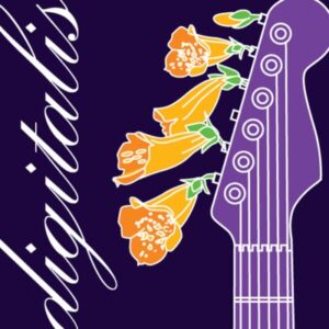 SomaFM Digitalis (256k MP3)