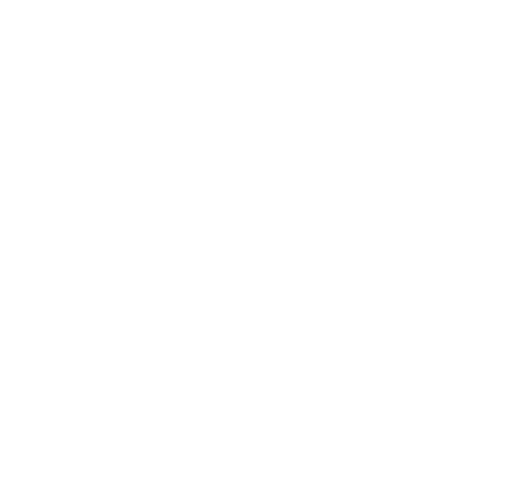 Droogies