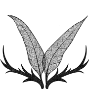 Phaune radio