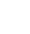 Phoenix Radio Bali